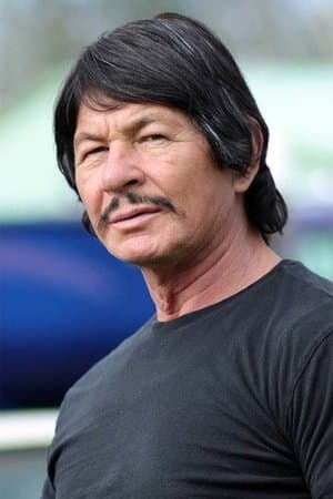 robert bronzi