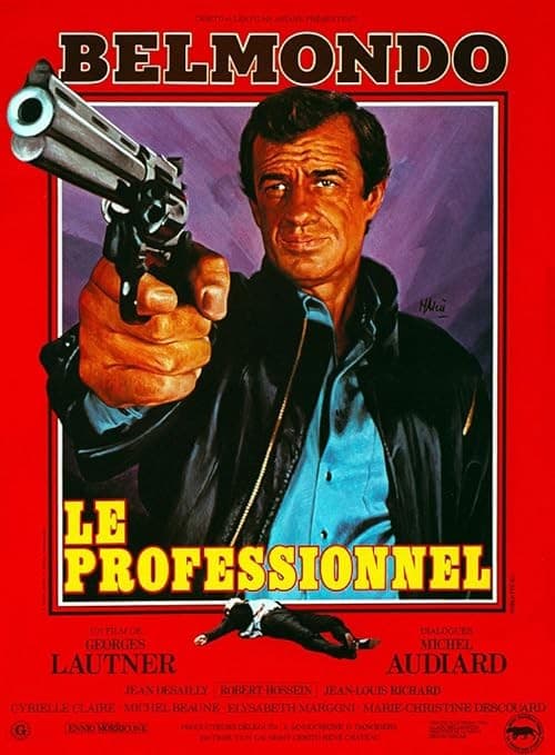 حرفه ای