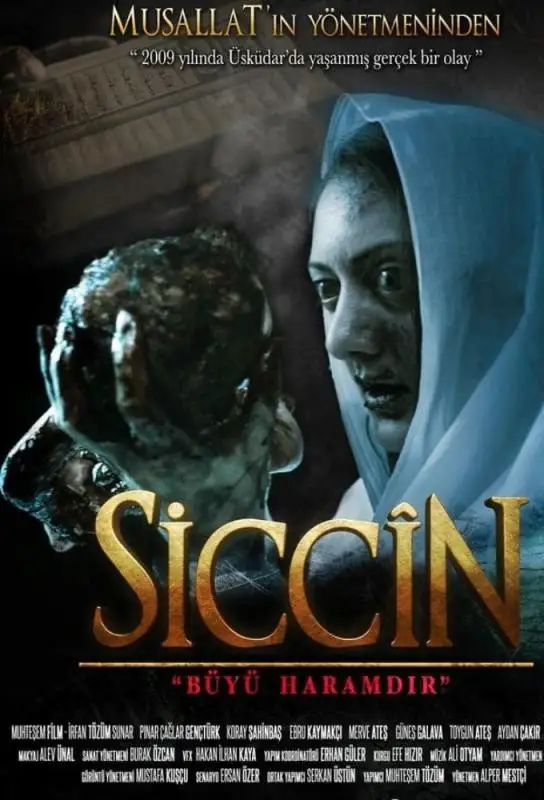 سیسین